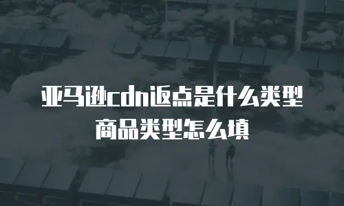 亚马逊cdn返点是什么类型商品类型怎么填