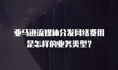 亚马逊流媒体分发网络费用是怎样的业务类型？