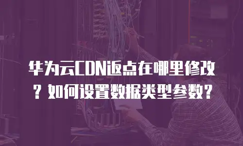 华为云CDN返点在哪里修改？如何设置数据类型参数？