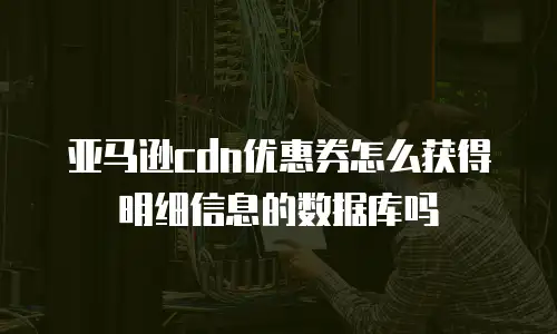 亚马逊cdn优惠券怎么获得明细信息的数据库吗