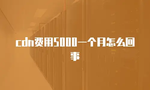 cdn费用5000一个月怎么回事