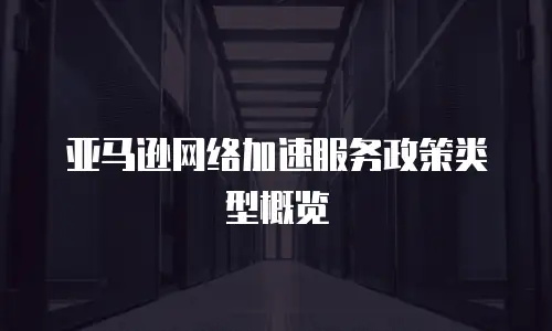 亚马逊网络加速服务政策类型概览