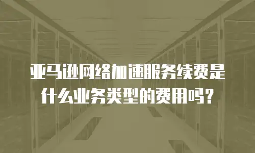 亚马逊网络加速服务续费是什么业务类型的费用吗？