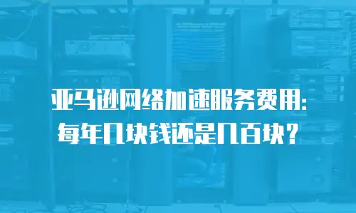 亚马逊网络加速服务费用：每年几块钱还是几百块？