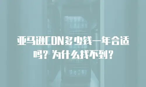 亚马逊CDN多少钱一年合适吗？为什么找不到？
