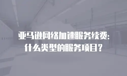 亚马逊网络加速服务续费：什么类型的服务项目？