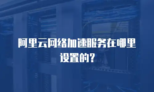 阿里云网络加速服务在哪里设置的？