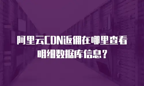 阿里云CDN返佣在哪里查看明细数据库信息？
