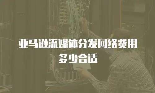 亚马逊流媒体分发网络费用多少合适