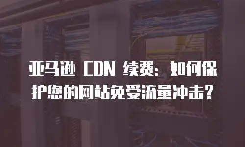 亚马逊 CDN 续费：如何保护您的网站免受流量冲击？