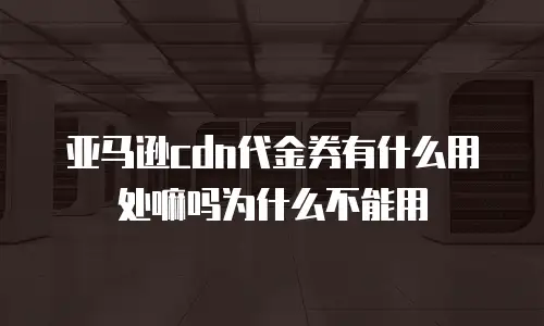 亚马逊cdn代金券有什么用处嘛吗为什么不能用