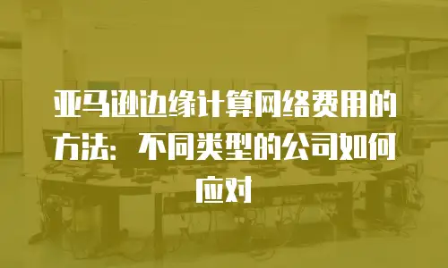 亚马逊边缘计算网络费用的方法：不同类型的公司如何应对