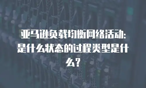 亚马逊负载均衡网络活动：是什么状态的过程类型是什么？