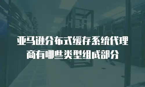 亚马逊分布式缓存系统代理商有哪些类型组成部分