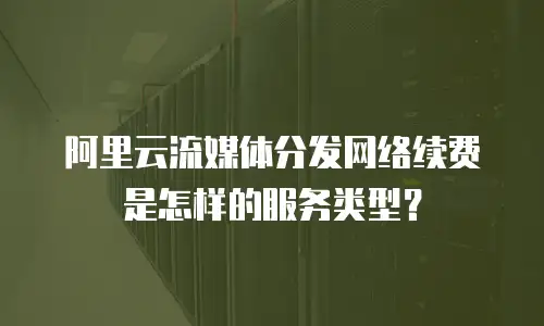阿里云流媒体分发网络续费是怎样的服务类型？