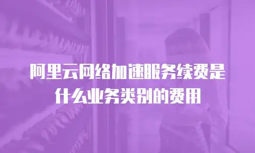 阿里云网络加速服务续费是什么业务类别的费用