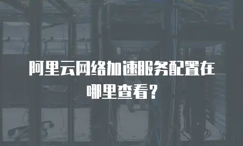 阿里云网络加速服务配置在哪里查看？