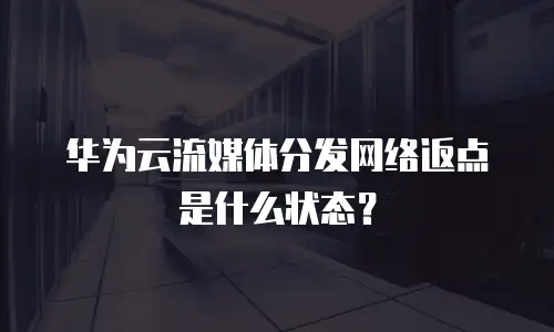 华为云流媒体分发网络返点是什么状态？