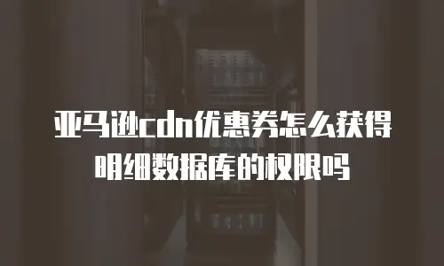 亚马逊cdn优惠券怎么获得明细数据库的权限吗