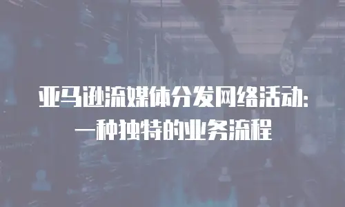 亚马逊流媒体分发网络活动：一种独特的业务流程