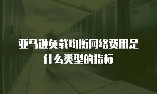亚马逊负载均衡网络费用是什么类型的指标
