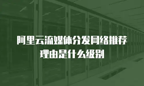 阿里云流媒体分发网络推荐理由是什么级别