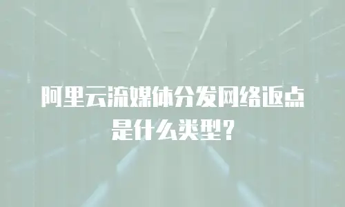 阿里云流媒体分发网络返点是什么类型？