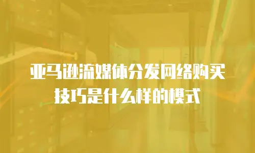 亚马逊流媒体分发网络购买技巧是什么样的模式