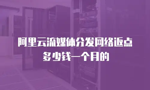 阿里云流媒体分发网络返点多少钱一个月的
