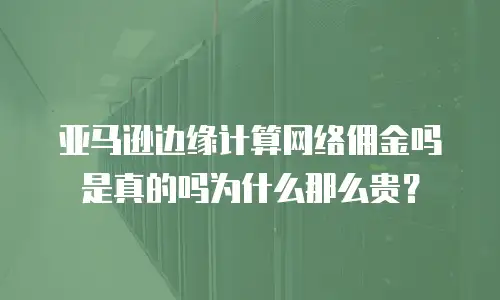 亚马逊边缘计算网络佣金吗是真的吗为什么那么贵？