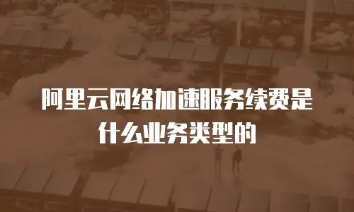 阿里云网络加速服务续费是什么业务类型的