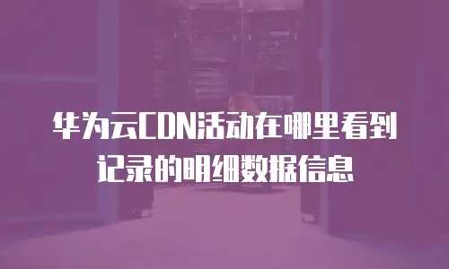 华为云CDN活动在哪里看到记录的明细数据信息