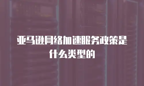 亚马逊网络加速服务政策是什么类型的