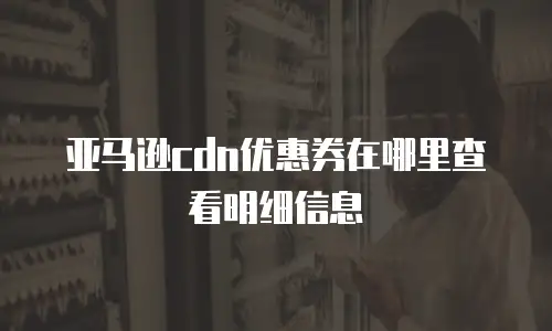 亚马逊cdn优惠券在哪里查看明细信息