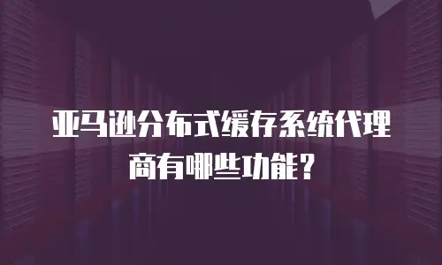 亚马逊分布式缓存系统代理商有哪些功能？