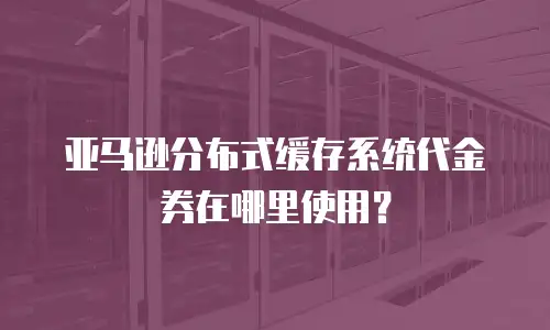 亚马逊分布式缓存系统代金券在哪里使用？