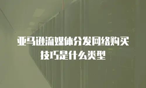 亚马逊流媒体分发网络购买技巧是什么类型