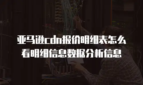 亚马逊cdn报价明细表怎么看明细信息数据分析信息
