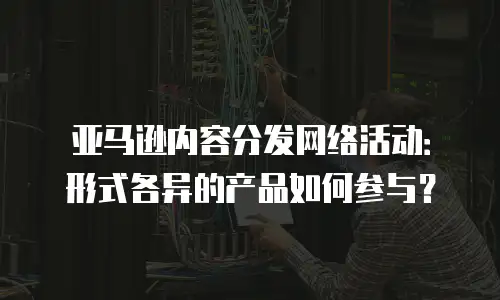 亚马逊内容分发网络活动：形式各异的产品如何参与？