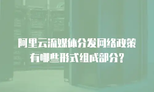 阿里云流媒体分发网络政策有哪些形式组成部分?