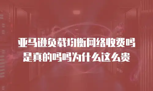 亚马逊负载均衡网络收费吗是真的吗吗为什么这么贵