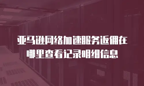 亚马逊网络加速服务返佣在哪里查看记录明细信息