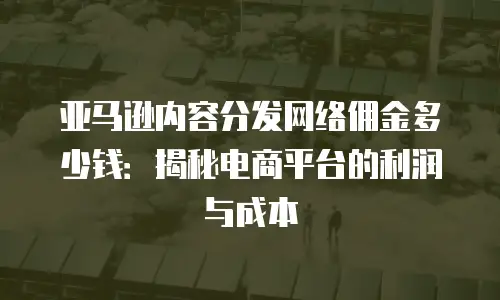 亚马逊内容分发网络佣金多少钱：揭秘电商平台的利润与成本