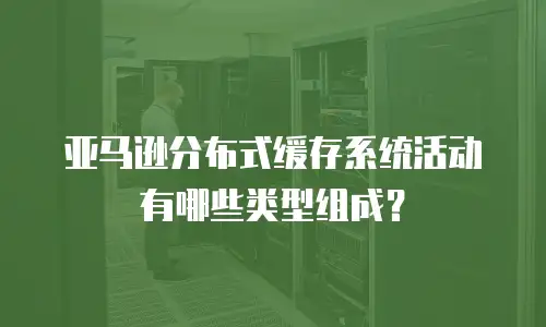 亚马逊分布式缓存系统活动有哪些类型组成？