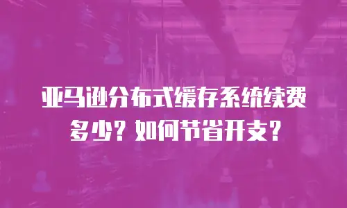 亚马逊分布式缓存系统续费多少？如何节省开支？