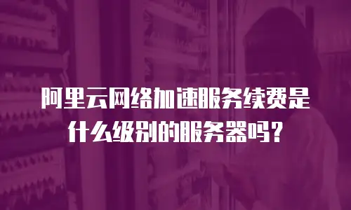阿里云网络加速服务续费是什么级别的服务器吗？
