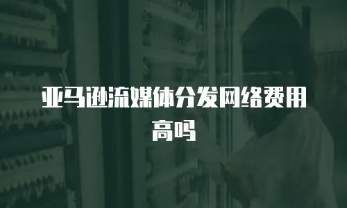 亚马逊流媒体分发网络费用高吗