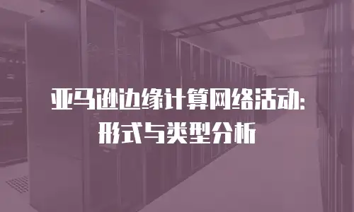 亚马逊边缘计算网络活动：形式与类型分析