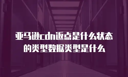 亚马逊cdn返点是什么状态的类型数据类型是什么