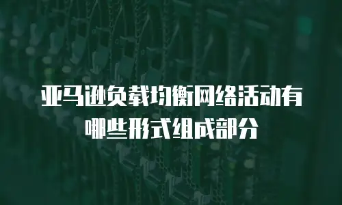 亚马逊负载均衡网络活动有哪些形式组成部分